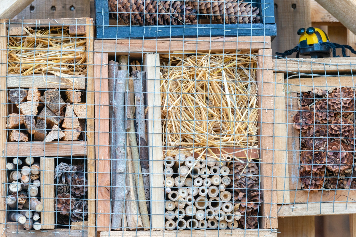 The front of a bug or insect hotel made of wood, with sections filled with different materials such as straw, sticks, reeds, and pinecones. A wire mesh covers the sections.